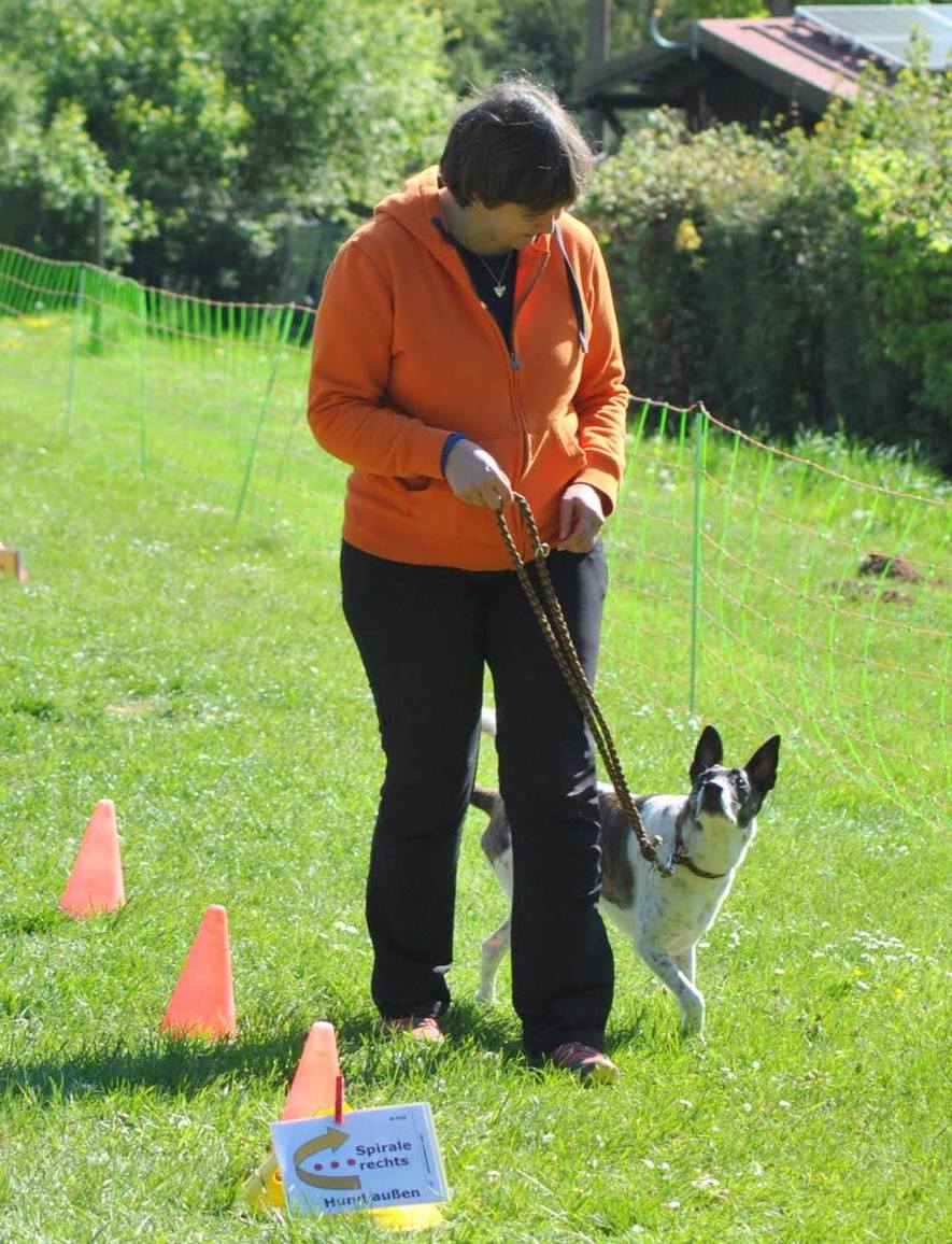 Rally Obedience Training