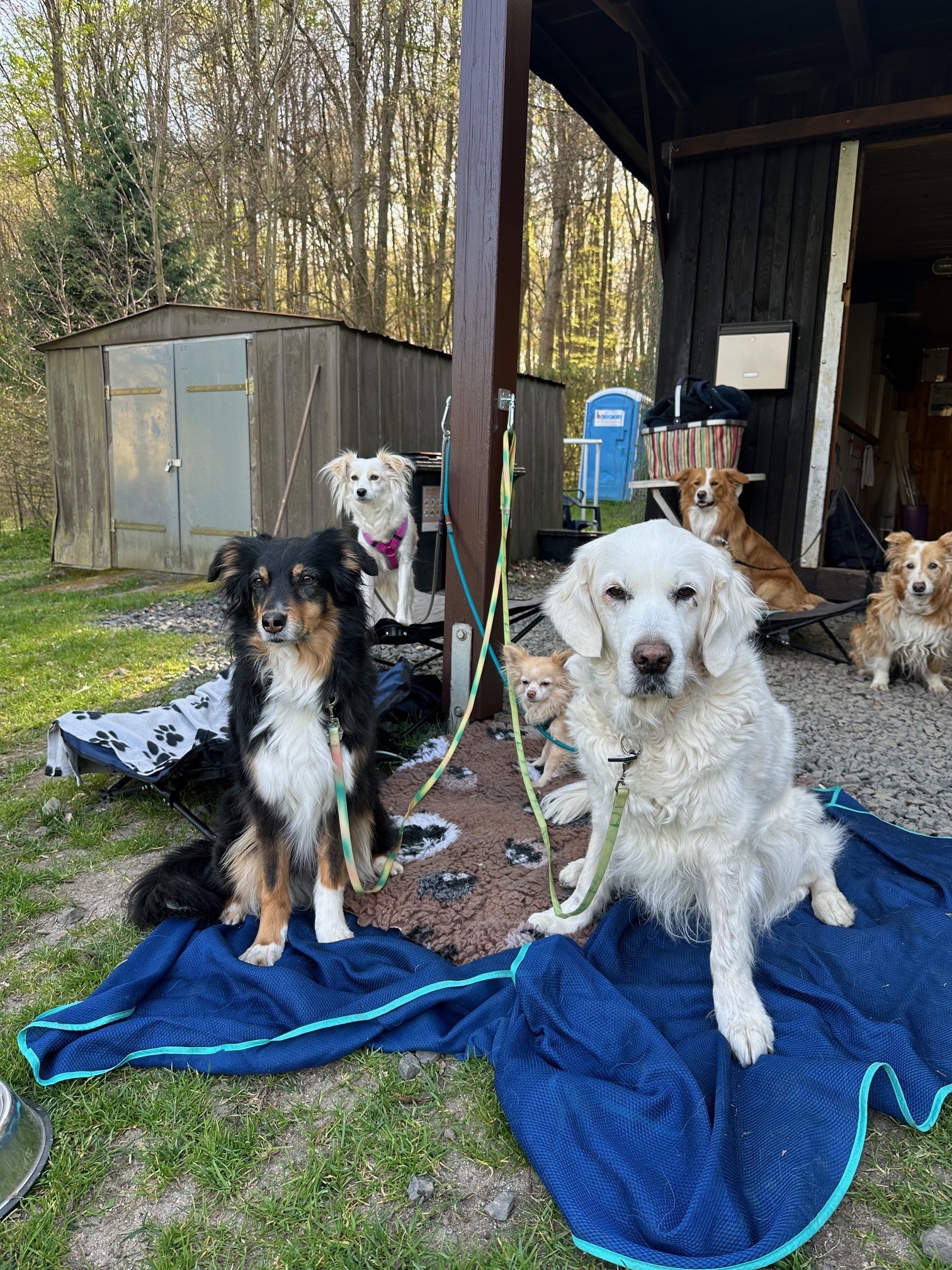Trainingsgruppe