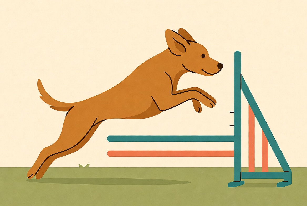 Agility
